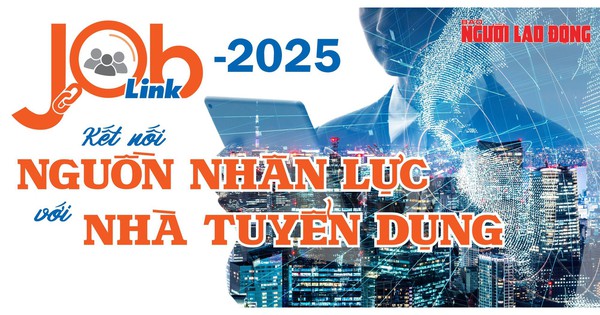 Job Link 2025: Kết nối nguồn nhân lực với nhà tuyển dụng