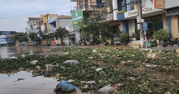 VIDEO: Bùn rác phủ kín làng quê sau lũ ở Quảng Trị