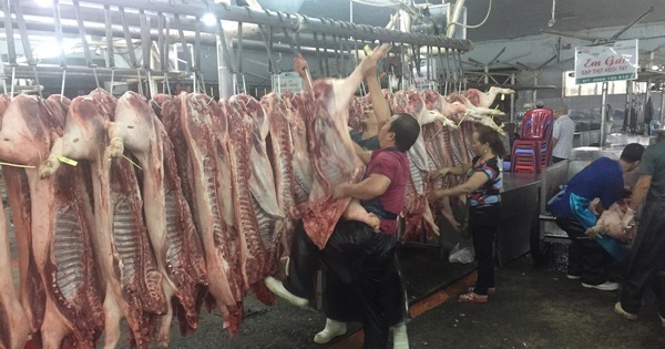 Giá heo hơi hôm nay, 24-12: Vượt mốc 70.000 đồng/kg