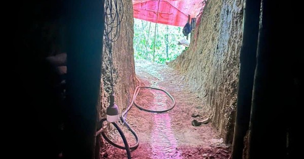 Giá vàng tăng cao, nhóm người vào cánh rừng ở Đà Nẵng "tìm vận may"