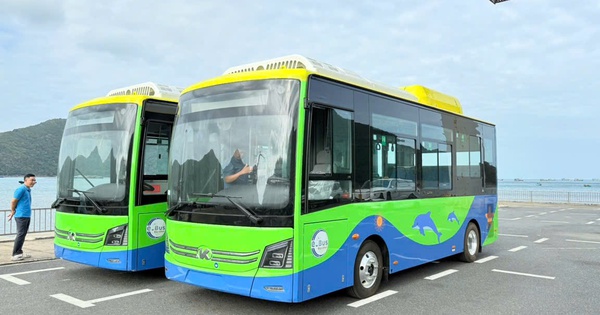 Ngày mai, tuyến xe buýt điện 173 chính thức lăn bánh tại Côn Đảo