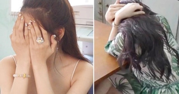 Triệt phá nhóm kín "Đảo Đào Hoa" môi giới mại dâm quy mô lớn