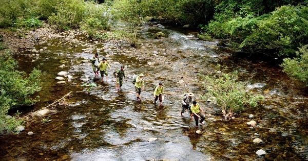 Theo chân đội bẫy ảnh thú rừng