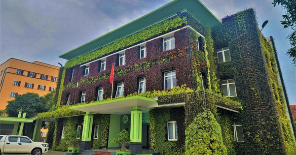Công sở xanh, giảm nhiệt đô thị