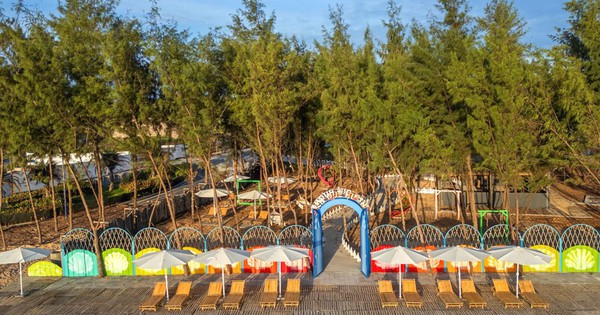 Nỗ lực phục hồi rừng ven biển