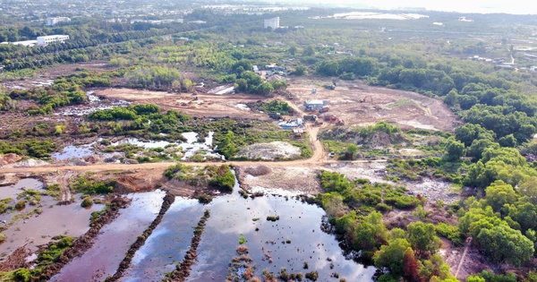 "Ông lớn" đứng sau khu đất 60 ha vừa trúng đấu giá tại Bà Rịa - Vũng Tàu là ai?