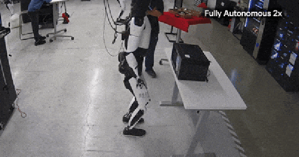 Elon Musk khoe robot Optimus làm việc nhà, gây sốt mạng xã hội