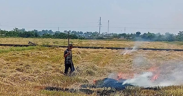Ngăn chặn đốt rơm rạ trên đồng