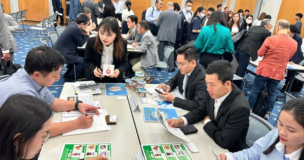 Mời doanh nghiệp Nhật đầu tư bán dẫn tại Việt Nam