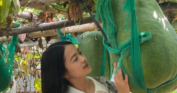 Sản vật trứ danh bàu Chánh Trạch