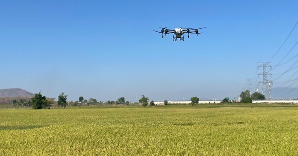 Cánh đồng không dấu chân