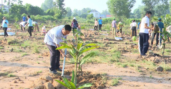 Phủ xanh đô thị