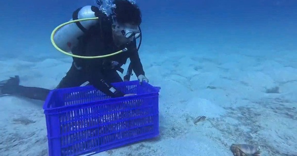 Nỗ lực tái tạo nguồn lợi thủy sản