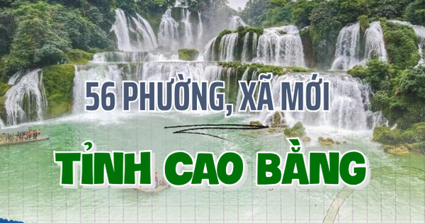 Trụ sở phường, xã của tỉnh có diện tích chưa đạt nhưng không thực hiện