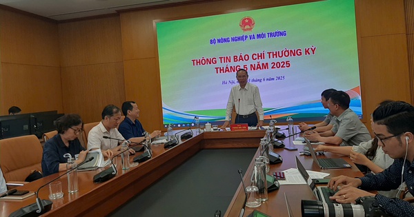 nld.com.vn