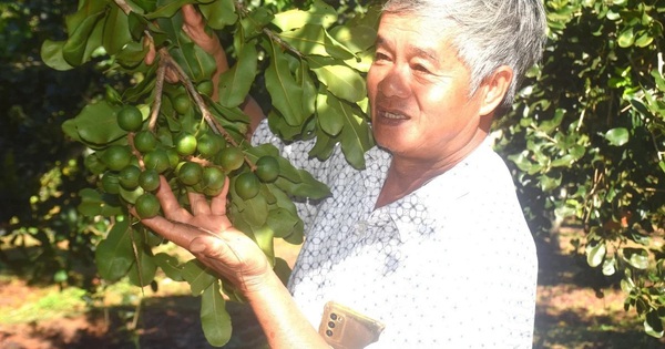 Từ đôi tay trắng đến trang trại tiền tỉ