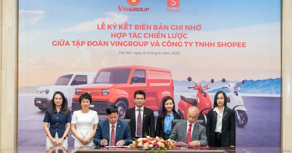 nld.com.vn