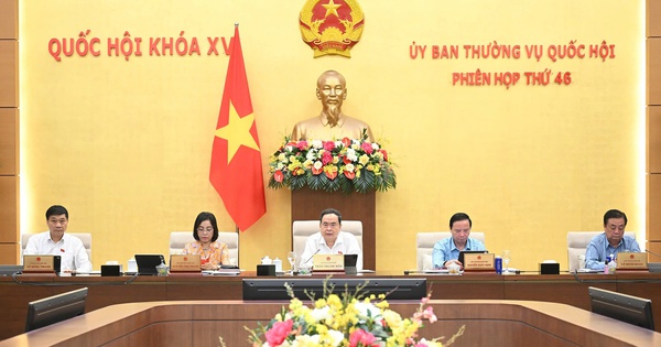 nld.com.vn