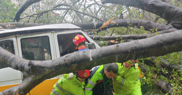 Cách theo dõi siêu bão Wipha trực tiếp trên điện thoại