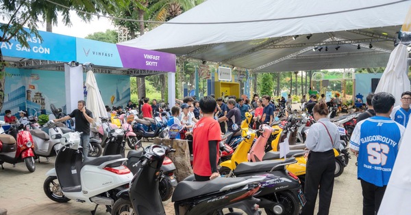 nld.com.vn