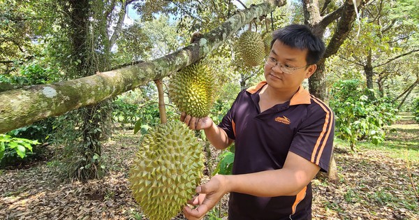 Cấp bách phát triển nông nghiệp xanh