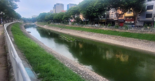 Bảo vệ, hồi phục sông đô thị