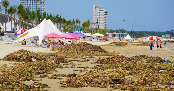 Ngăn rác biển từ đầu nguồn