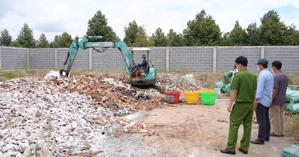 CLIP: Bắt quả tang 2 vụ đổ vỏ sầu riêng gây ô nhiễm môi trường