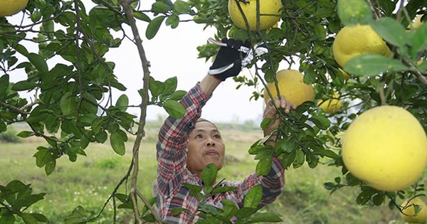 Chuyển đổi xanh để phát triển bền vững