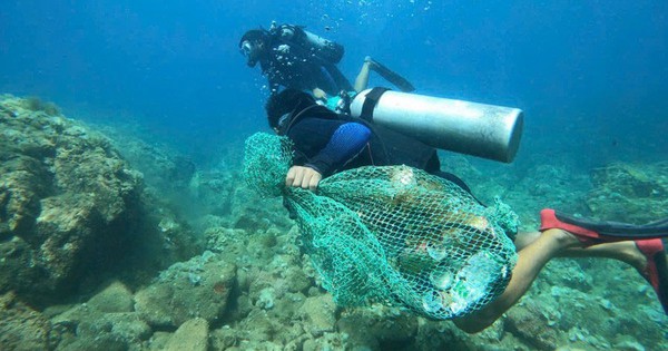 Gìn giữ nguồn sống từ đại dương
