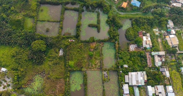 Kỳ vọng bán đảo Bình Quới - Thanh Đa "thay da đổi thịt"