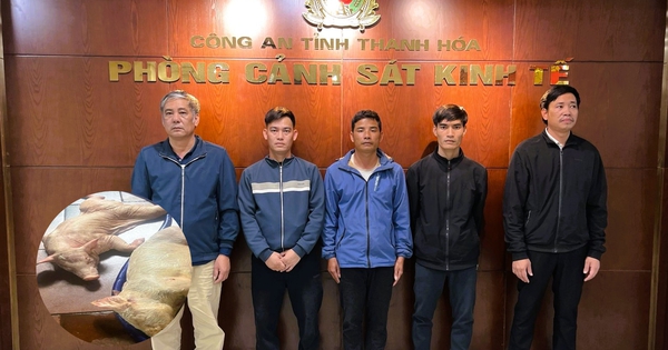 Khởi tố 5 người đàn ông gom hơn 1 tấn heo mắc bệnh dịch tả bán kiếm lời