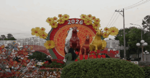 CLIP: Ngắm linh vật ngựa “mã đáo thành công” đón Xuân tại Cà Mau