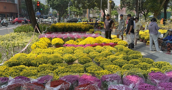 Không còn cảnh hét giá, người dân TPHCM tấp nập đi mua hoa Tết sớm