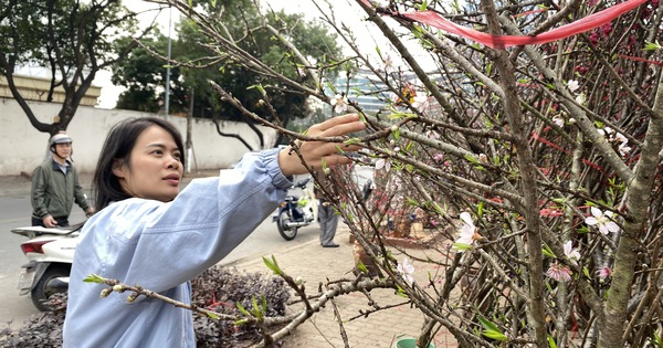 Dự báo chi tiết thời tiết cả nước dịp Tết Nguyên đán Bính Ngọ 2026