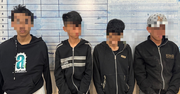 Trộm liên tiếp 12 xe máy, xe điện, nhóm thiếu niên ở Gia Lai sa lưới