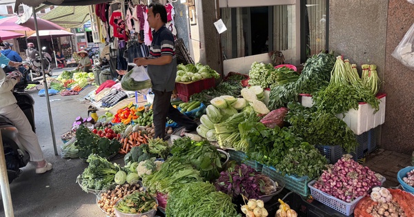 Rau củ quả dồi dào dịp Tết