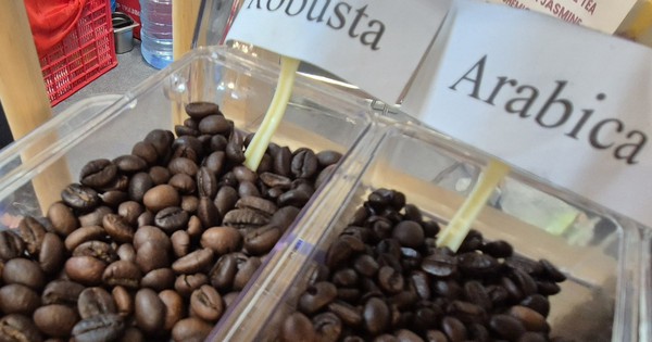 Giá cà phê hôm nay 12-2: Phục hồi