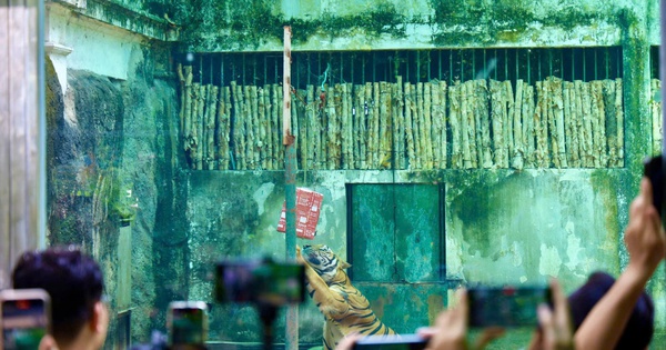 Du xuân cùng muôn thú ở Thảo Cầm Viên