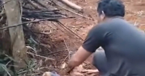 Xác định được người mẹ bỏ rơi con sơ sinh trong rẫy vắng