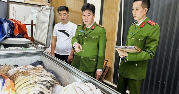 Bỏ 2 tỉ đồng mua 2 con hổ về nấu cao