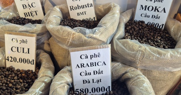 Giá cà phê hôm nay 13-2: Tăng mạnh sát Tết