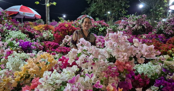 Điều đặc biệt ở chợ hoa Tết Bình Điền rộng 1,2 ha, người bán lẫn người mua đều thích