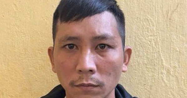 Khởi tố vụ “phù phép” mật ong nuôi thành mật ong rừng để trục lợi