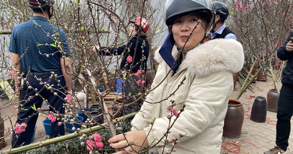 Dự báo thời tiết Tết Nguyên đán, xuất hiện diễn biến mới vào đêm giao thừa