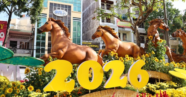 Đi xem đường hoa nghệ thuật Cần Thơ, gửi xe ở đâu?