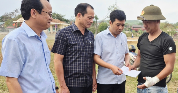 Vụ trâu đực rượt đuổi rồi húc 2 người bị thương: Trâu dữ đã "vượt biên"