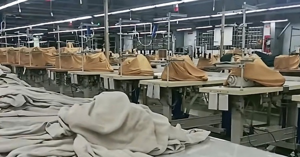 Thêm trường hợp người sử dụng lao động được tạm dừng đóng BHXH từ ngày 1-3