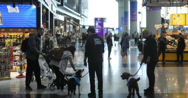 Khi sân bay thành "máy kéo" kinh tế siêu hạng