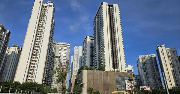 Từ 1-3-2026 chính thức cấp mã định danh điện tử bất động sản và người môi giới bất động sản